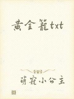 黄金笼txt
