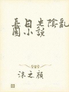 长日光阴乱作一团小说