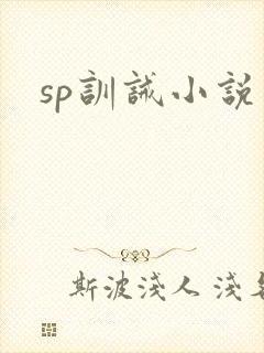 sp训诫小说
