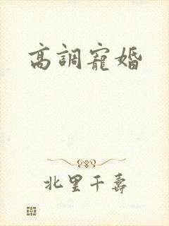 高调宠婚