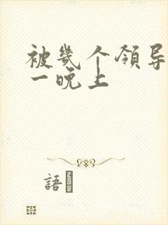 被几个领导玩弄一晚上