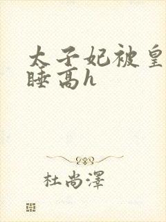 太子妃被皇上强睡高h