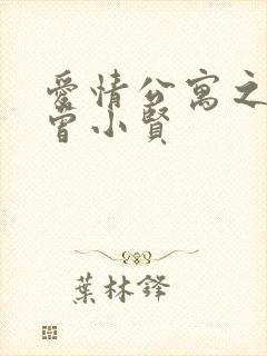 爱情公寓之极品曾小贤