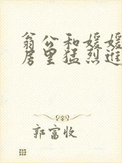 翁公和媛媛在厨房里猛烈进出