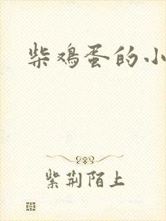 柴鸡蛋的小说