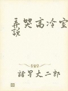 弄哭高冷室友小说