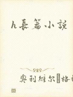 h长篇小说