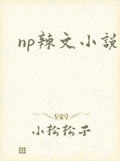 np辣文小说
