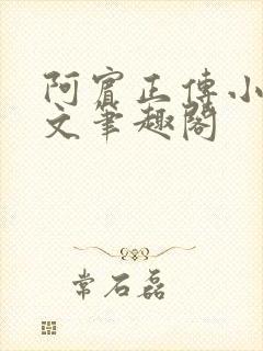 阿宾正传小说全文笔趣阁