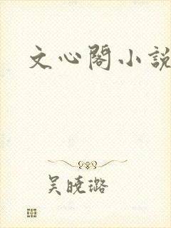 文心阁小说