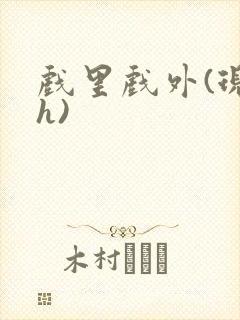 戏里戏外(现场h)