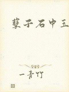 孽子石中玉