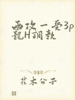两攻一受3p双龙H调教