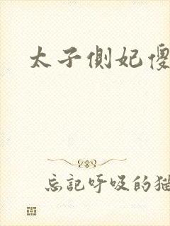 太子侧妃傻乎乎