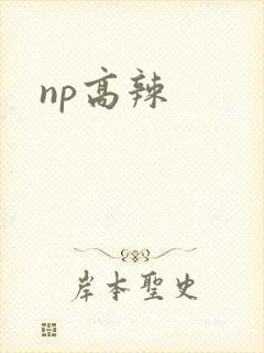 np高辣