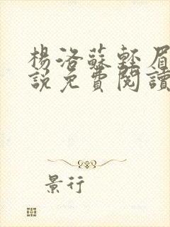 杨洛苏轻眉笔小说免费阅读