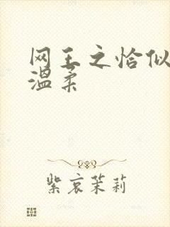 网王之恰似你的温柔