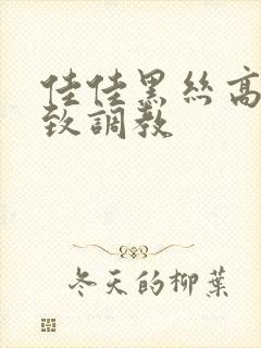 佳佳黑丝高跟极致调教