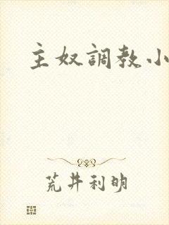 主奴调教小说