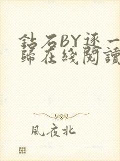 钻石BY逐一而归在线阅读