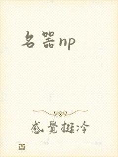 名器np