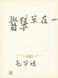 与校草在一起的日子