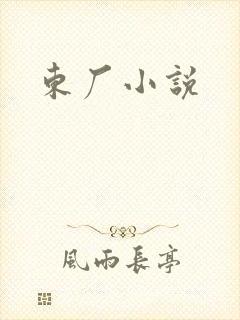 东厂小说