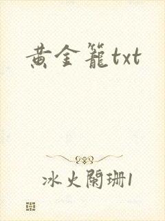 黄金笼txt