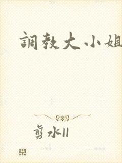 调教大小姐