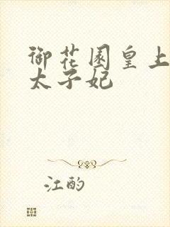 御花园皇上撞着太子妃