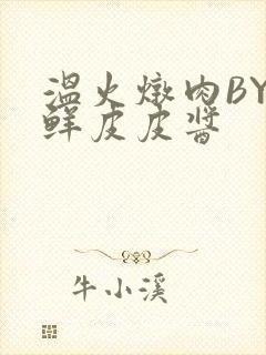 温火炖肉BY海鲜皮皮酱