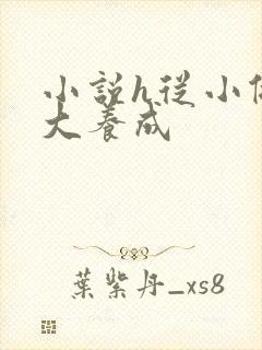 小说h从小做到大养成