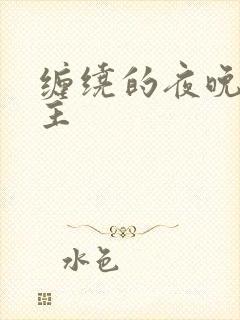 缠绕的夜晚双男主