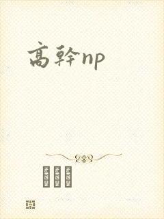 高干np