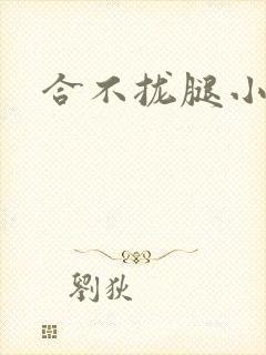 合不拢腿小说