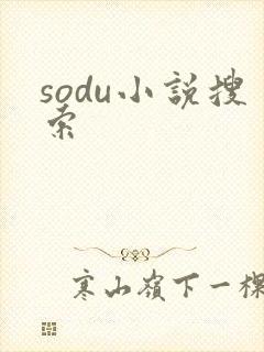 sodu小说搜索