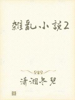 杂乱小说2