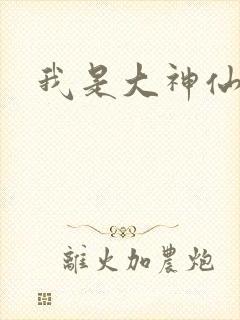 我是大神仙小说