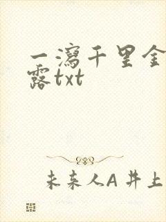 一泻千里金银花露txt