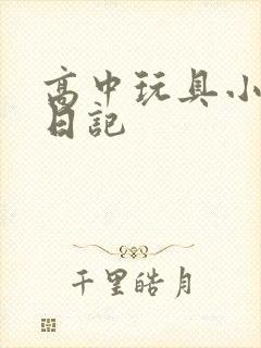 高中玩具小诗的日记