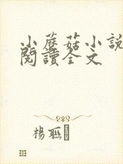 小蘑菇小说免费阅读全文