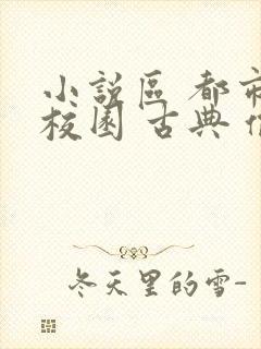 小说区 都市 校园 古典 偷拍