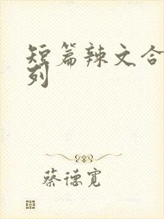 短篇辣文合集系列