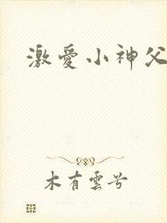 激爱小神父