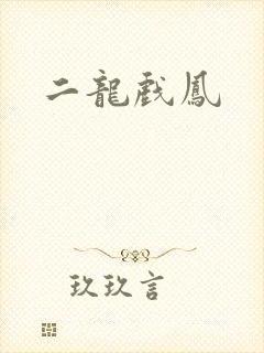二龙戏凤
