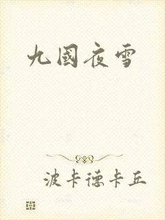 九国夜雪