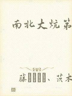 南北大炕第一部