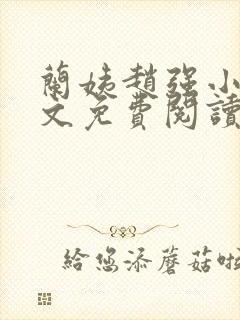 兰姨赵强小说全文免费阅读