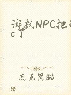 游戏NPC把我c了