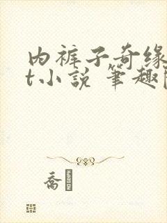 内裤子奇缘txt小说 笔趣阁